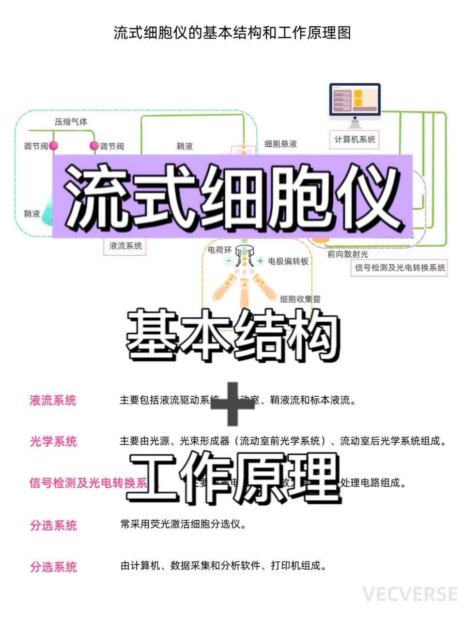 98 终于把流式细胞仪原理搞明白了!
