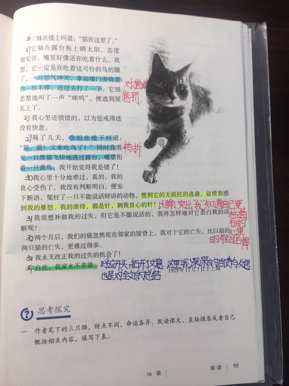 语文人教版七年级上册第16课猫