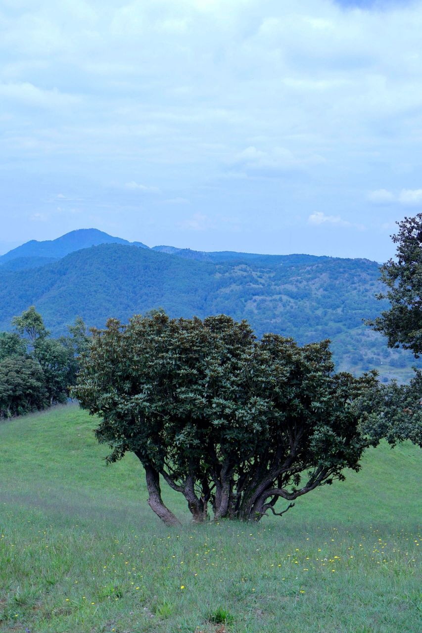 寻甸凤龙山 生活无解,野外撒野.