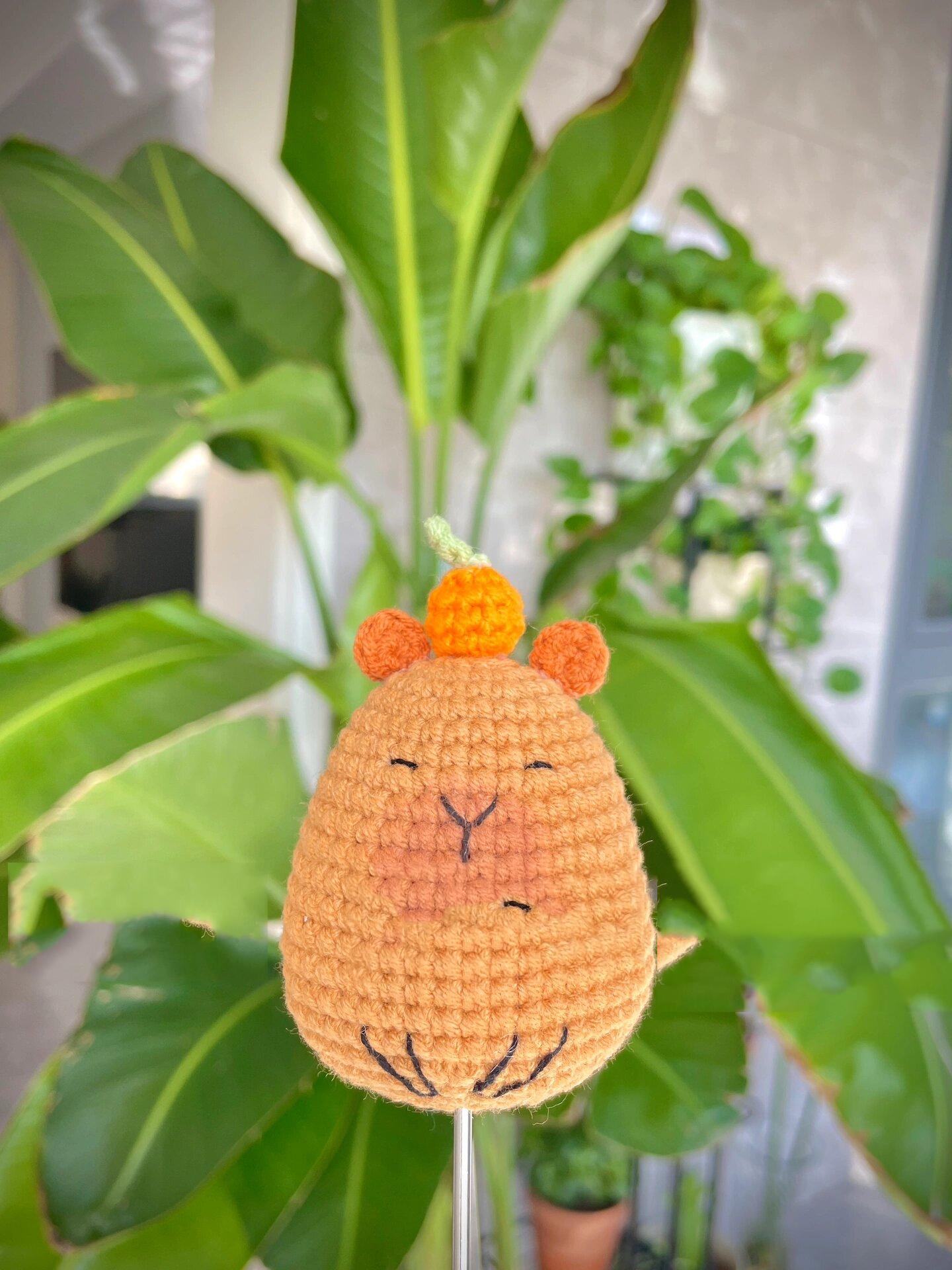 卡皮巴拉(水豚)钩针图解