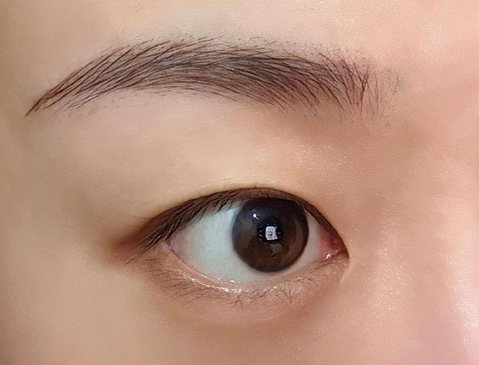 1000块钱的丝雾眉值不值 纹眉我也是做了好多功课,就怕纹出来像蜡笔