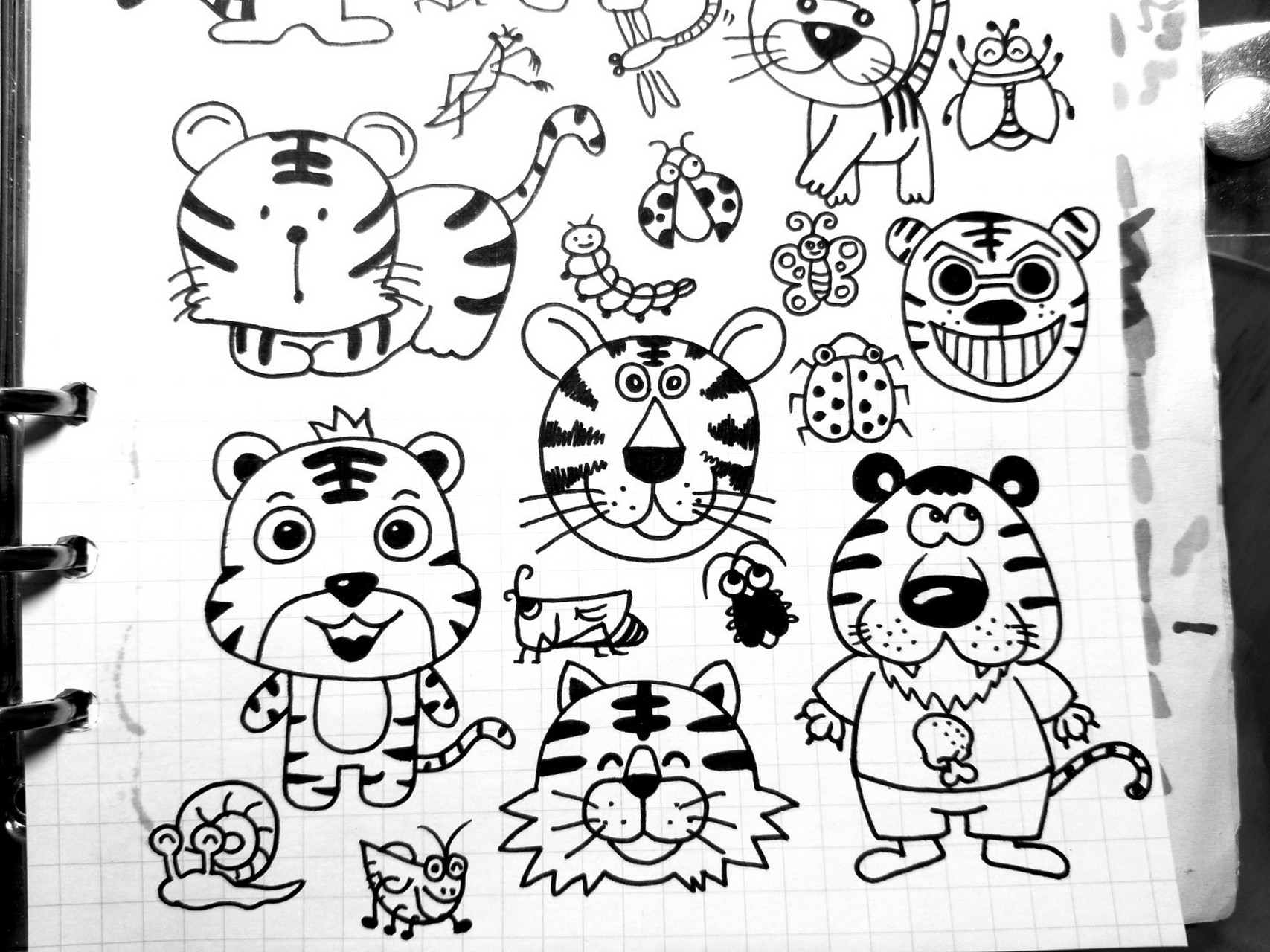 62 十二生肖简笔画素材之大老虎 手帐手抄报海报通用元素老虎91顺便