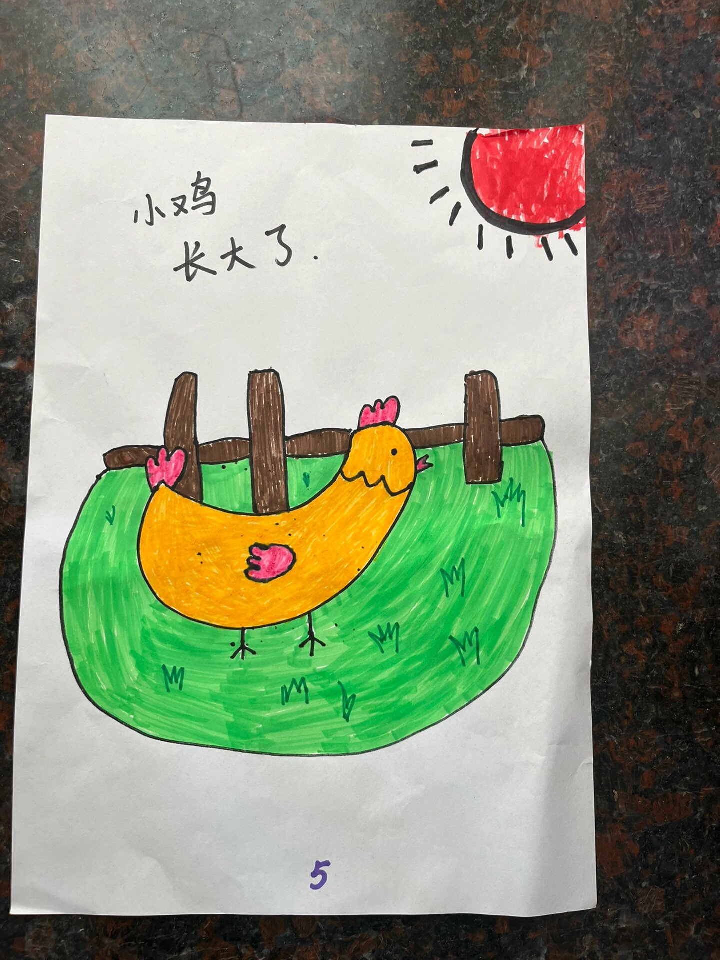 自制绘本✅✅《小鸡成长记》