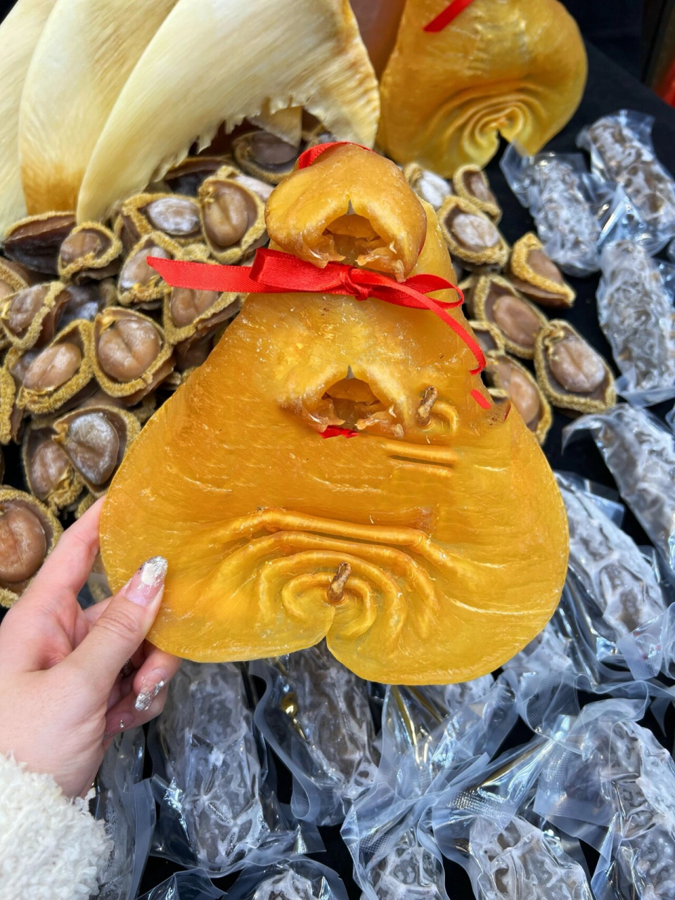 一次性搞定鲍参翅肚!