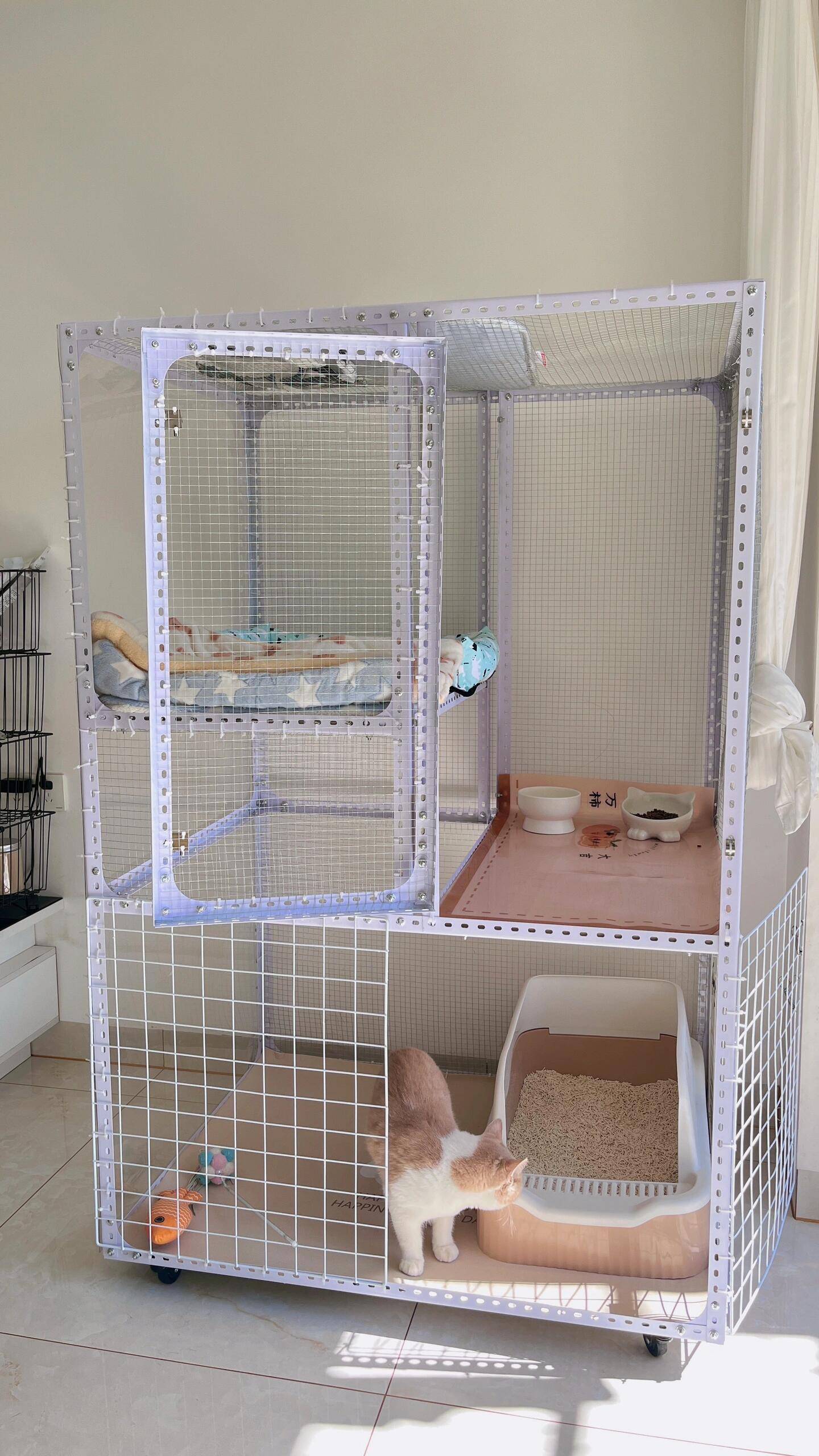 自制角钢猫笼 ✌️详细教程!