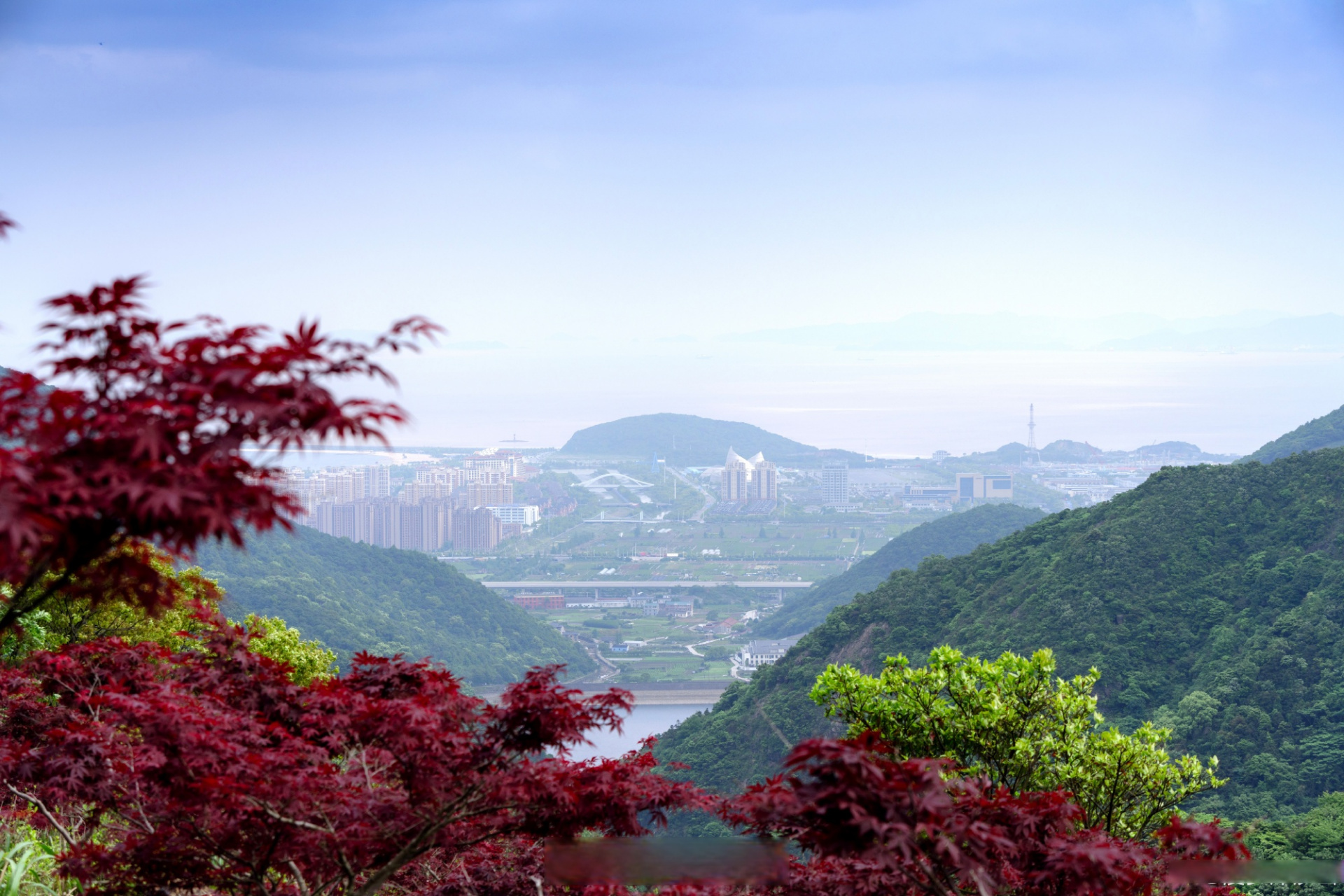 美丽北仑# 网友漫步洋沙山 投稿,行摄东盘山,美美美～[爱你][鼓掌]