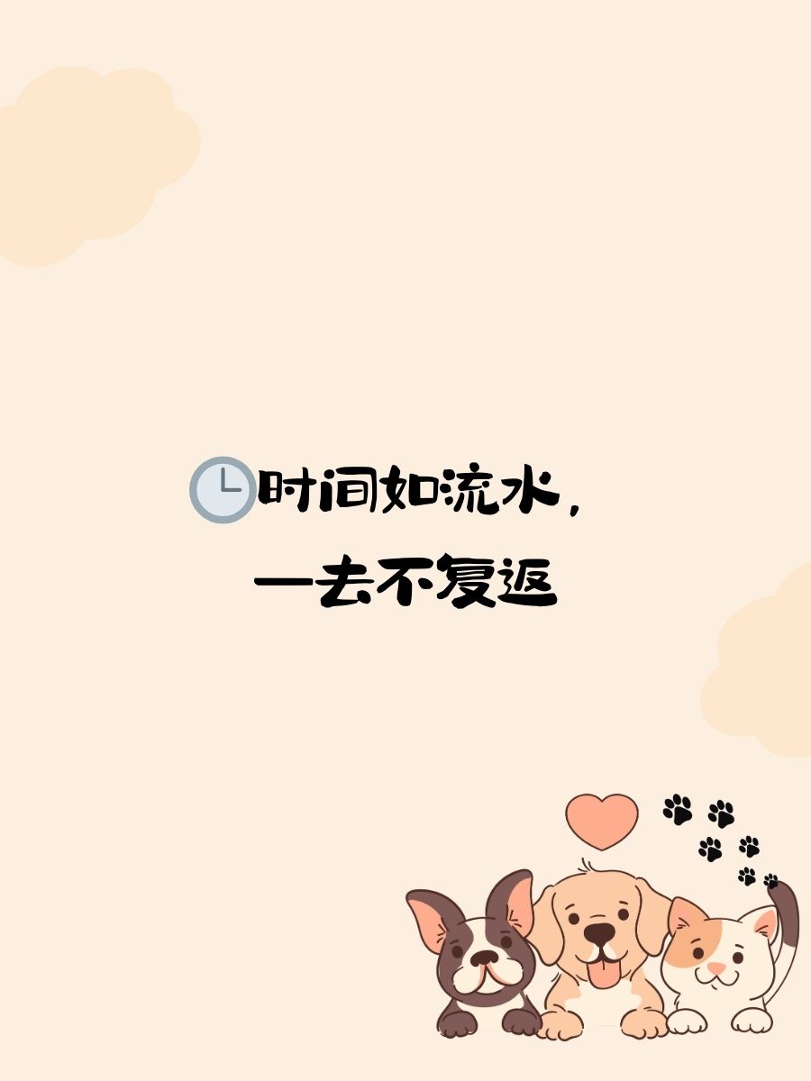 演讲稿《珍惜时间》 时间如流水,一去不复返 抓住每一刻,成就未来自己