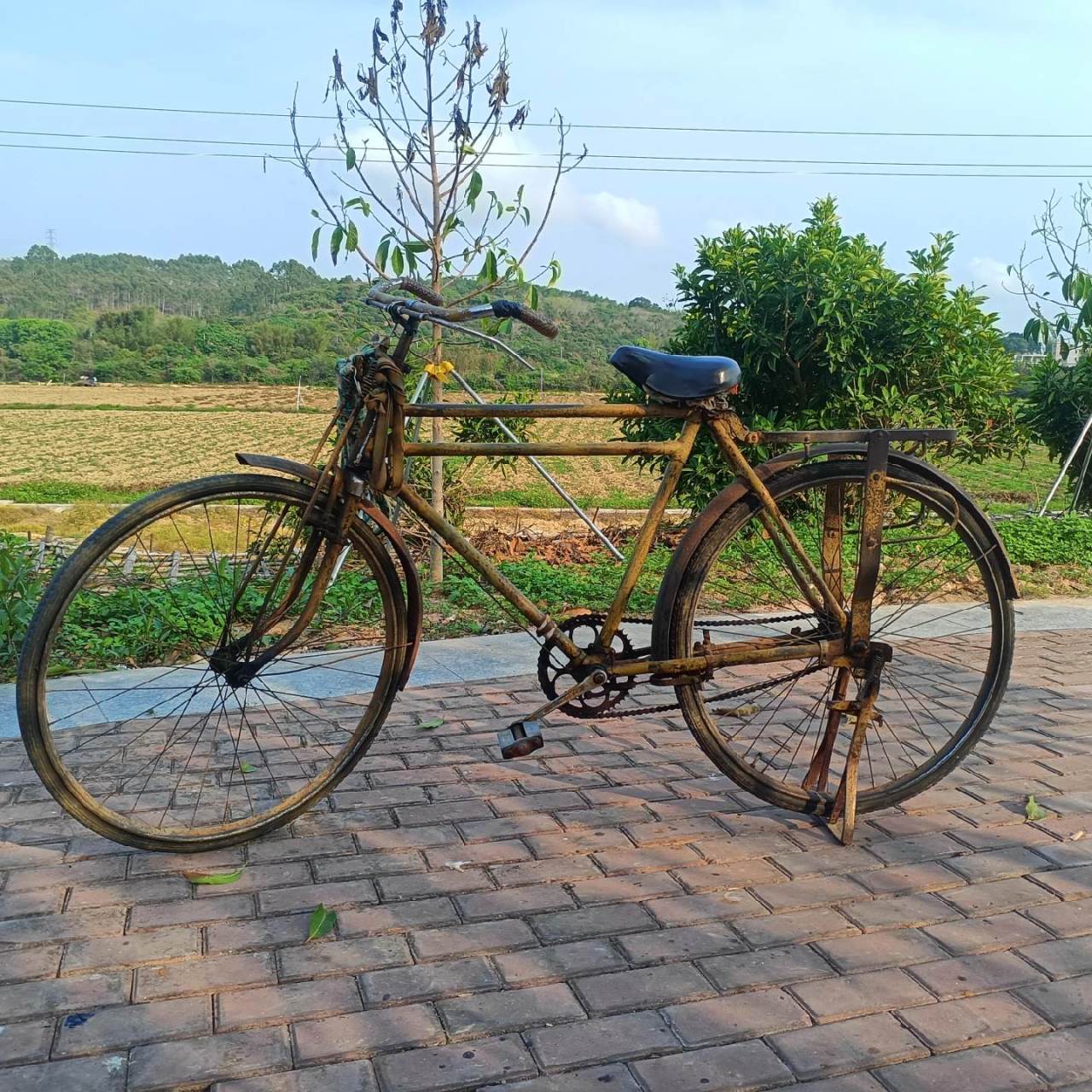 二八大杠自行车 你们那里土话管这个叫什么