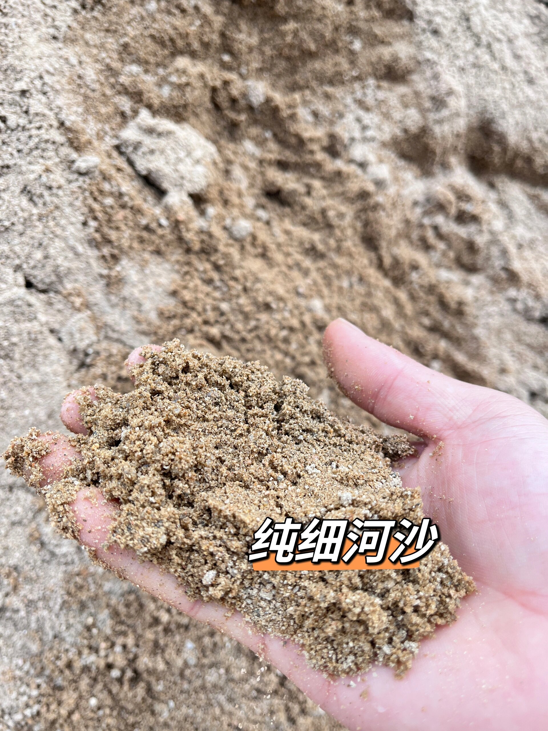 要选就选河沙75 装修和种植要选用河沙～ 	 99首先河沙与海沙相比