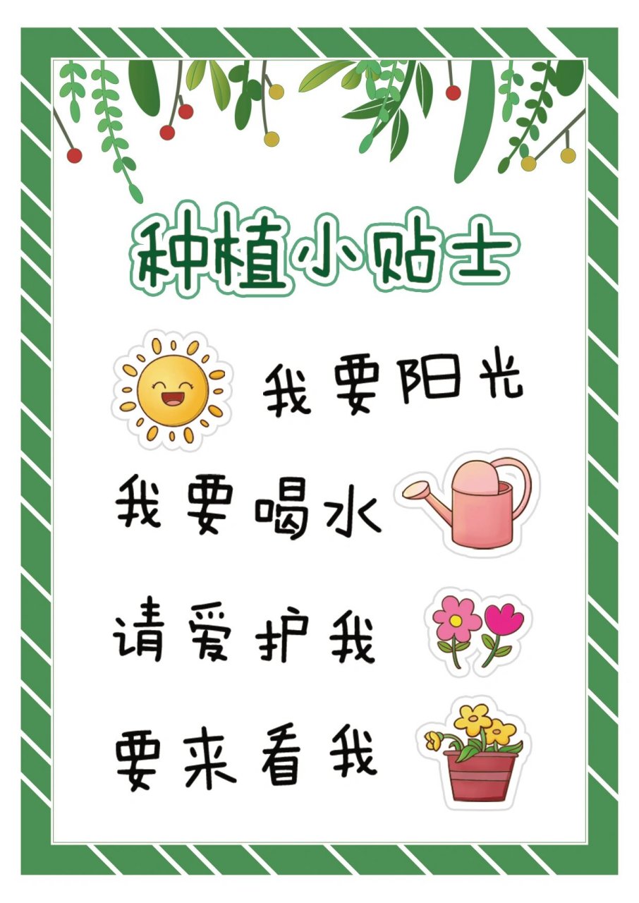 幼儿园植物角公约文字图片