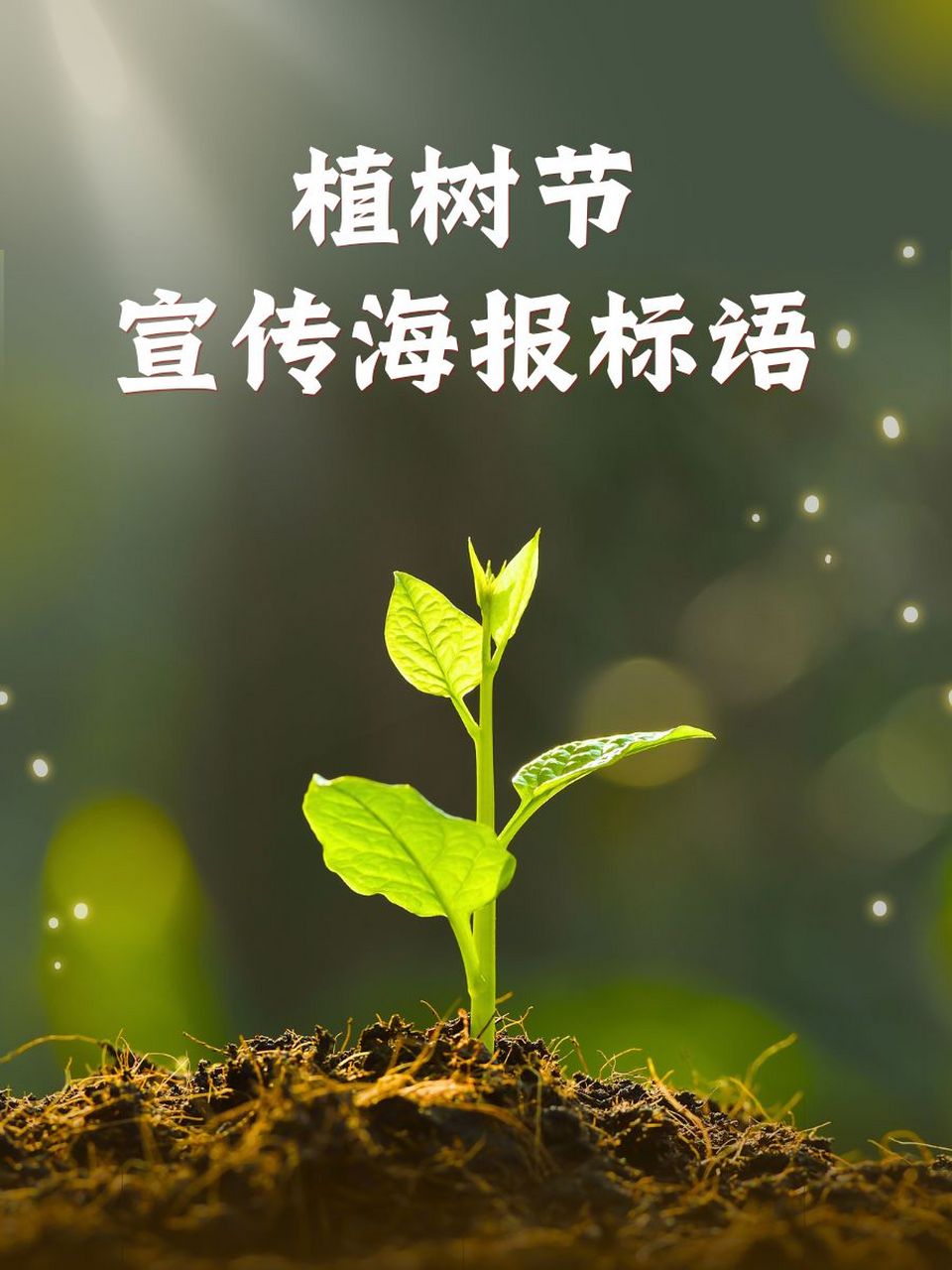 植绿护绿宣传语图片