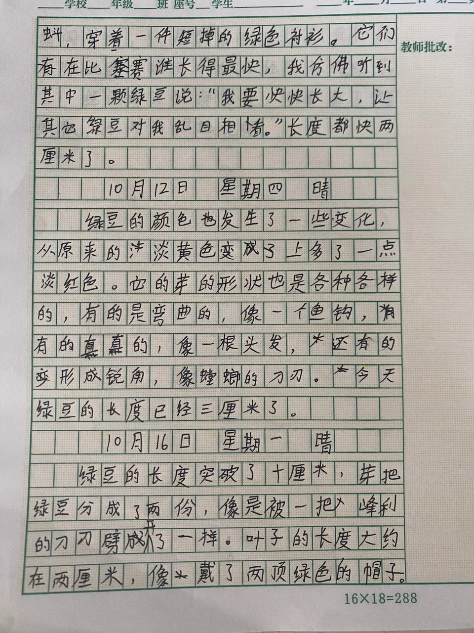 连续观察日记植物绿豆3天400字(连续观察日记植物绿豆3天400字怎么写)