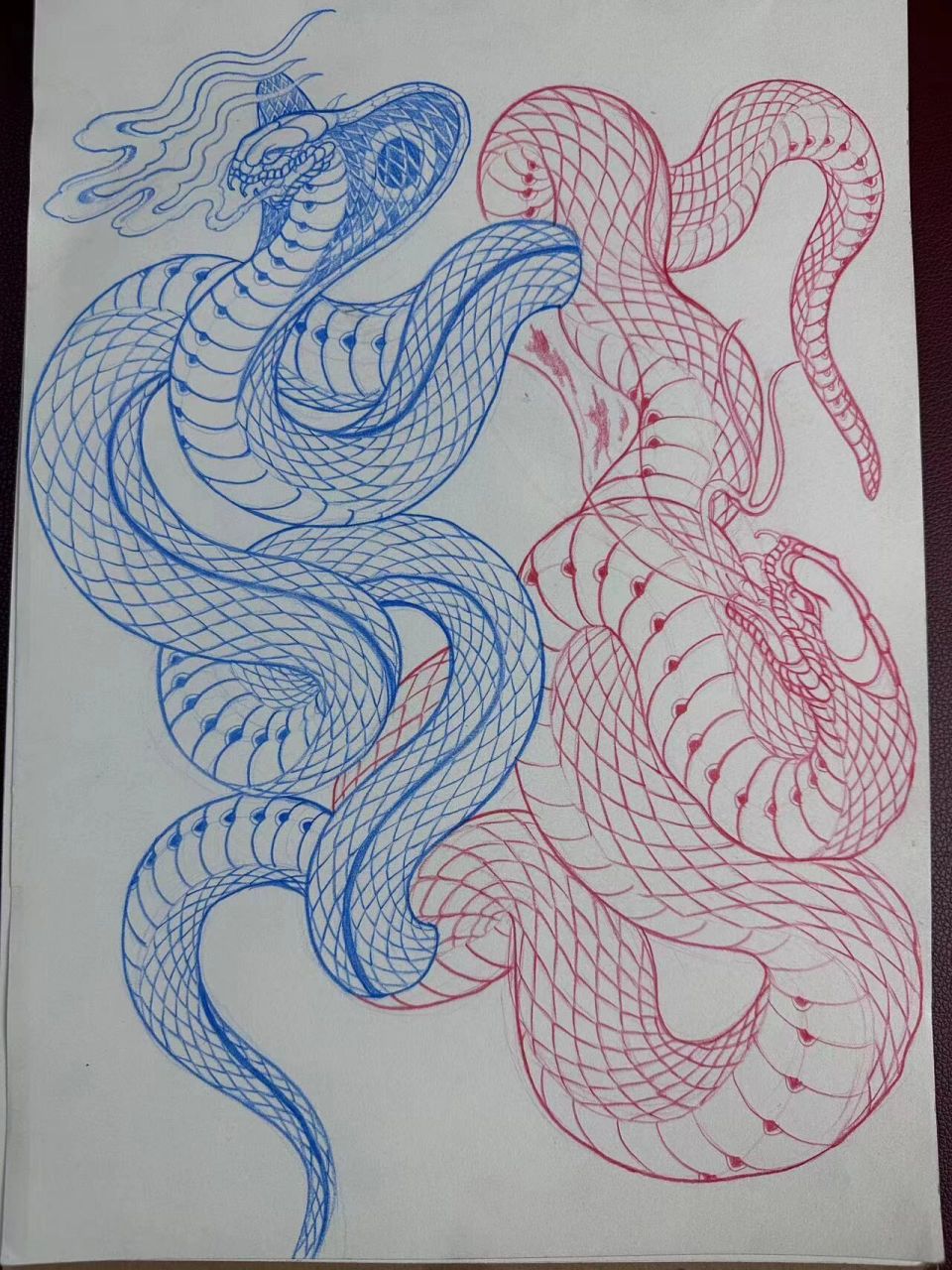 蛇的鳞片画法图片