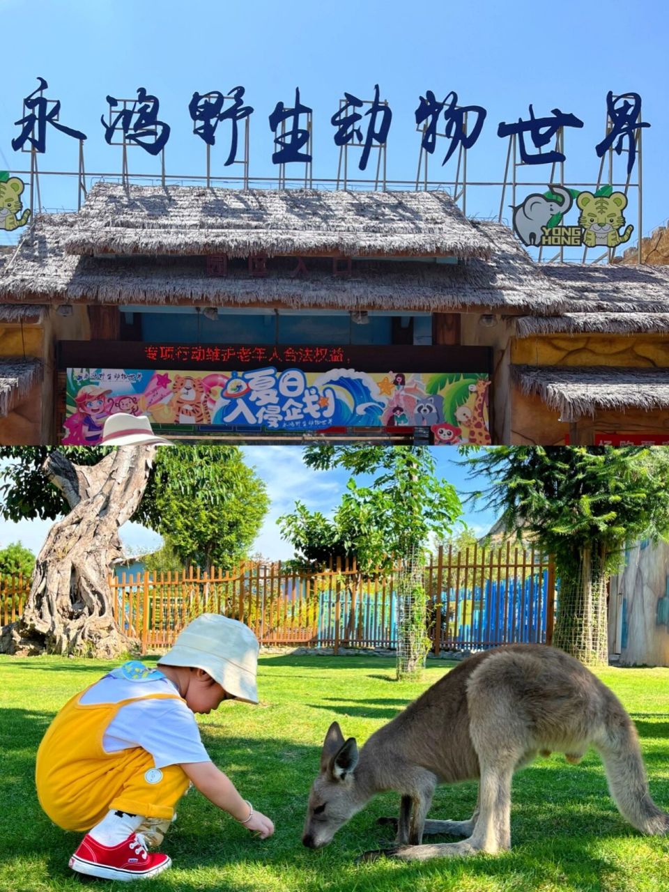 遛娃好去处|福清永鸿野生动物园05最新攻略 久闻大名的永鸿野生动物