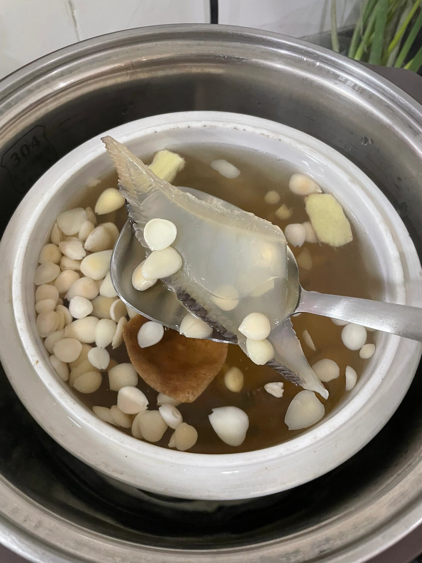 糖水  今天的主角就是 天然的彭鱼腮 作为一个广东人 非常喜欢煲汤 彭