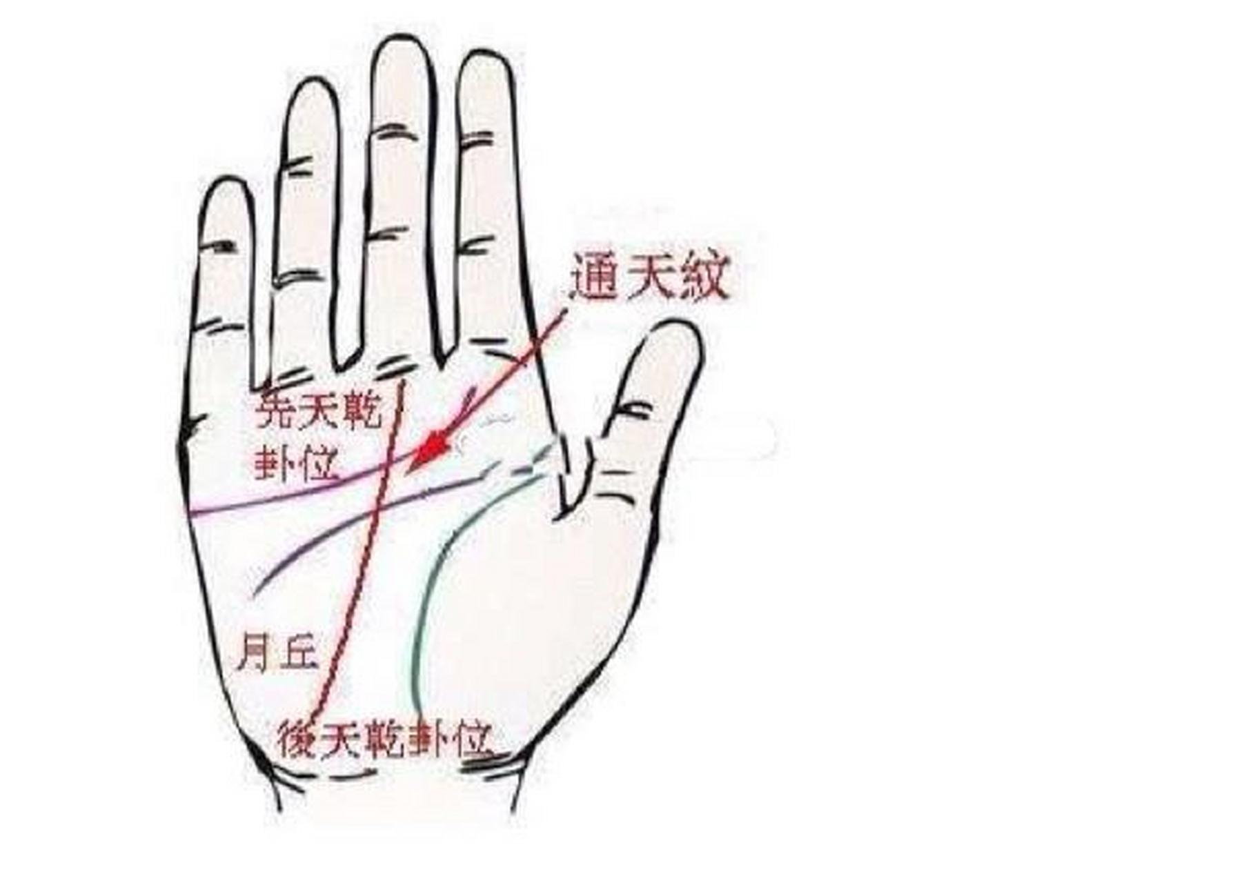 拥有通天纹手相者,多比较有才华,毅力心强,恒心持久,一生容易获取大的