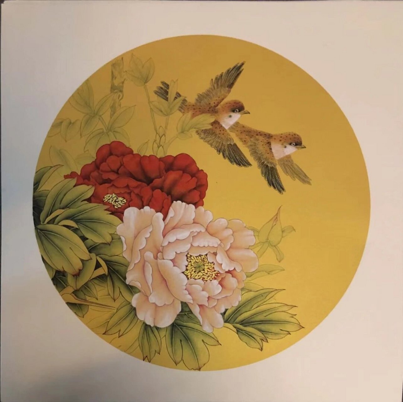 50*50圆形卡纸,国画工笔花鸟 工笔花鸟,小品