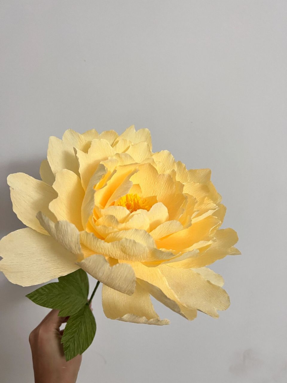 皱纹纸牡丹花 用皱纹纸做了一款简单点的牡丹花 做出来效果不错 简单