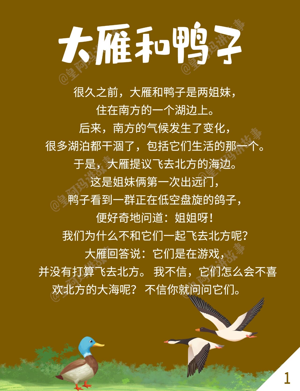 育儿故事3:大雁和鸭子