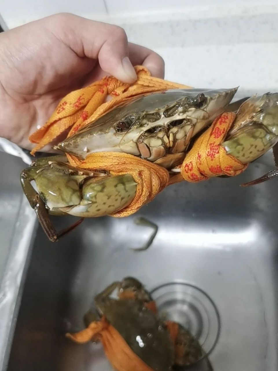 收到了三只台州三门青蟹,有一只阵亡 	 之前吃青蟹老是喜欢先把绳子