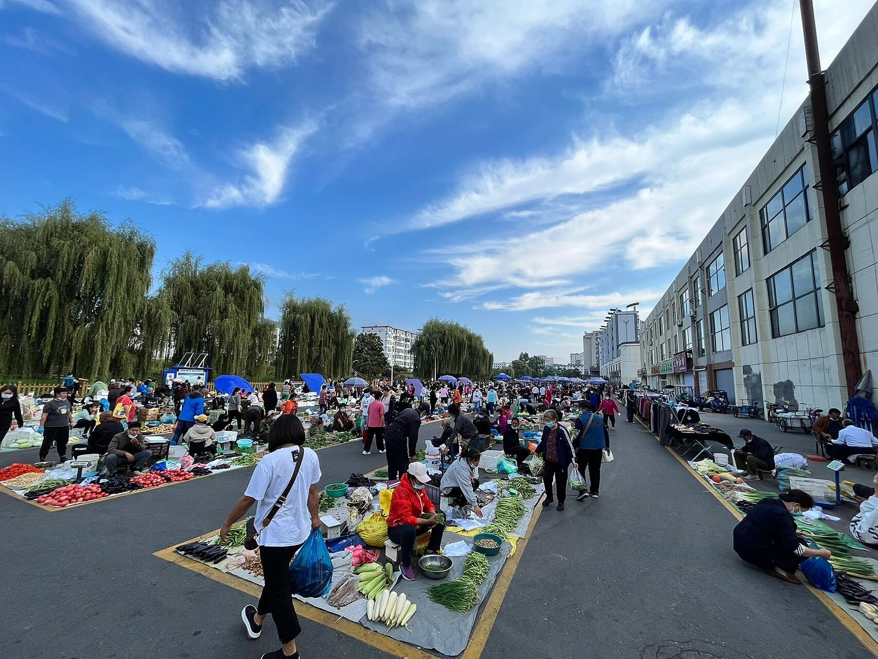 集安早市 7815人间烟火气 整整齐齐的摆放 太让人得劲了～治好