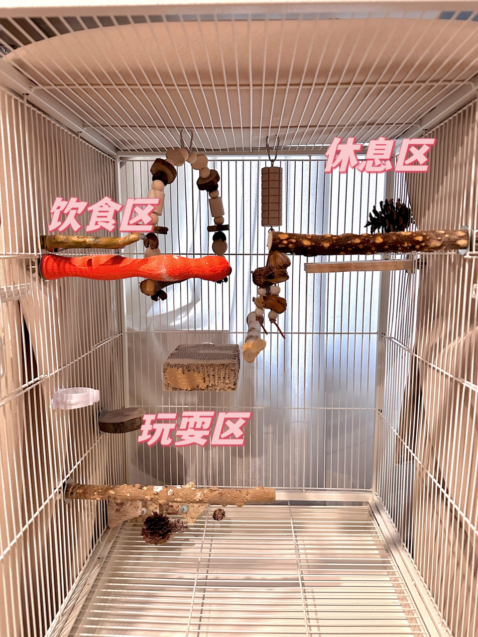 鹦鹉笼子布置分享 以及安全玩具 最喜欢给小鸡装修家了 笼内布置我会