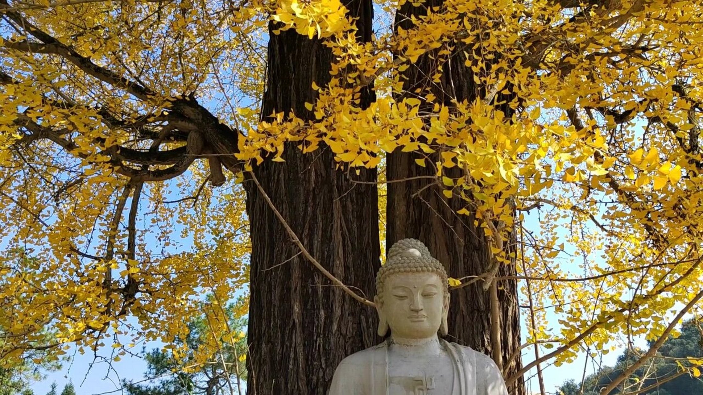 抚州三翁花园图片