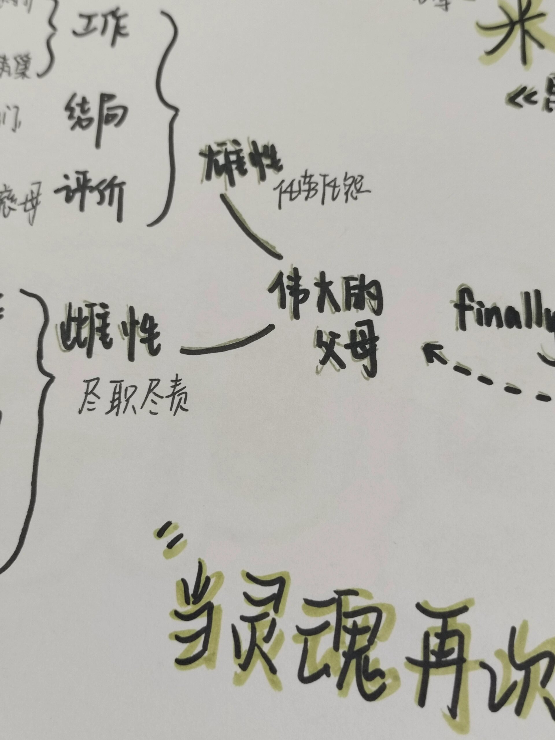 昆虫记米诺多蒂菲章节详解