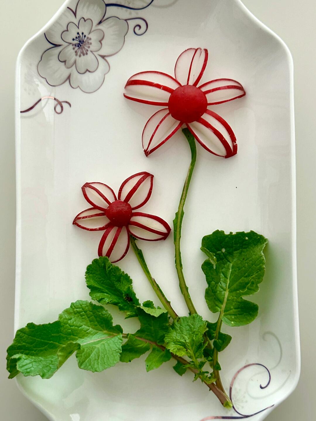 这盘花,送给一生节俭的妈妈,她会喜欢吧!