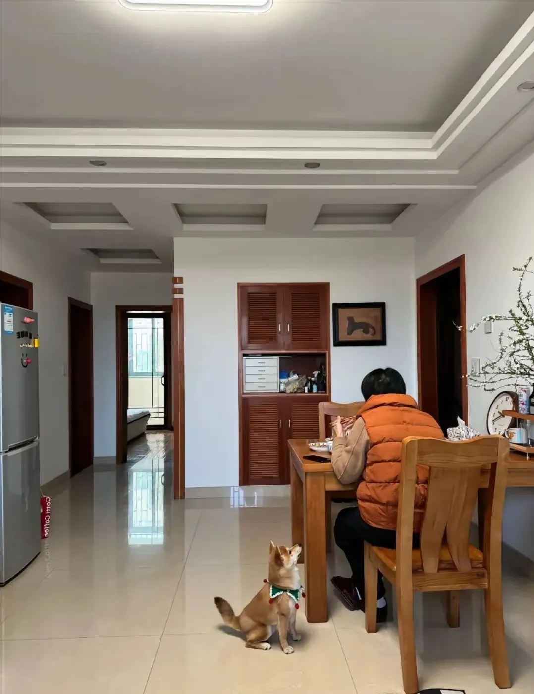 不攒物不社交,家里却依然整洁如初,真是岁月静好的写照