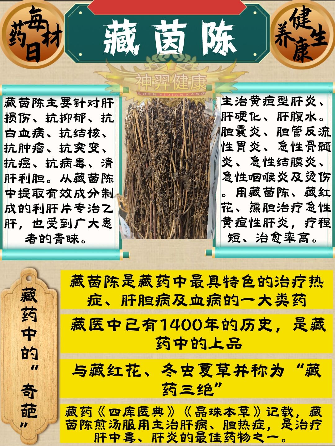 茵陈为一年生的龙胆科獐芽菜属生于海拔2000～5000米的青藏高原地区