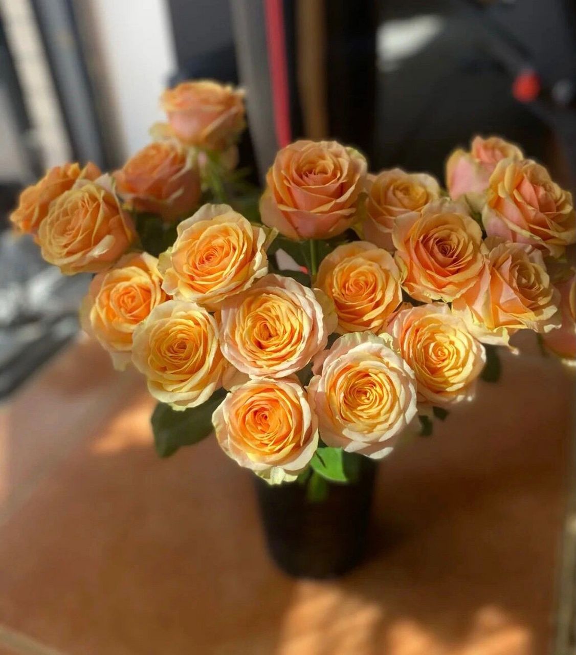 带你识花～迪薇娜玫瑰   迪薇娜玫瑰厚花瓣,不易生病,易养护,香槟玫瑰