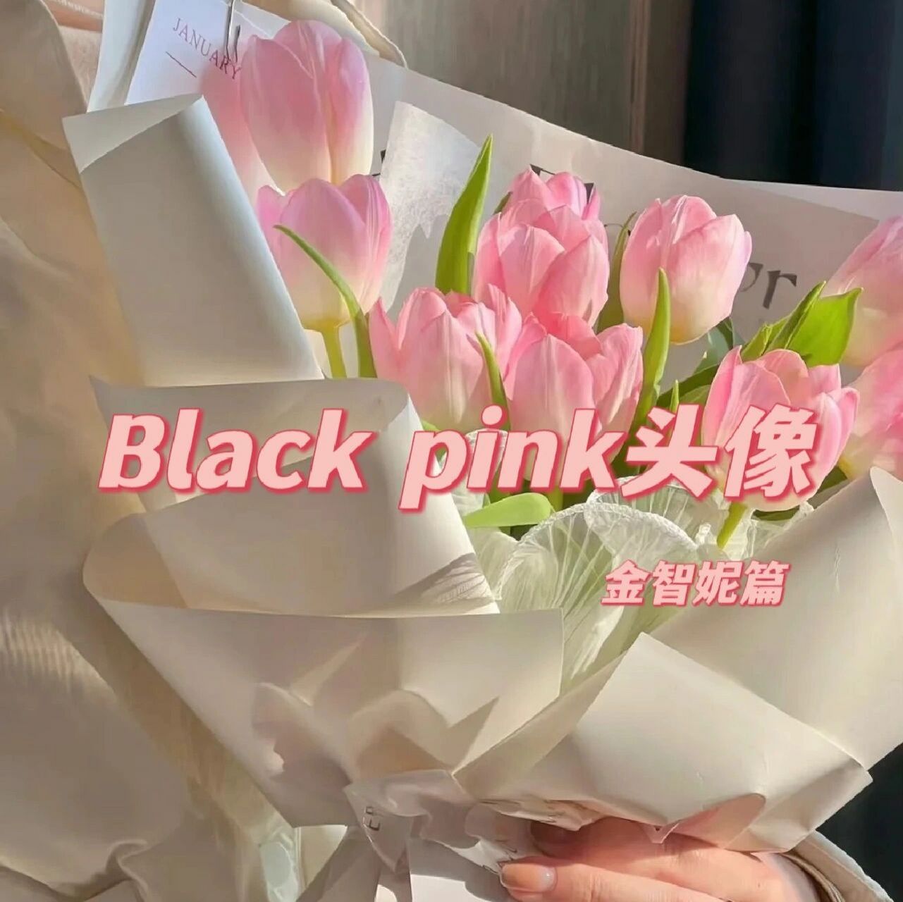 blankpink头像图片