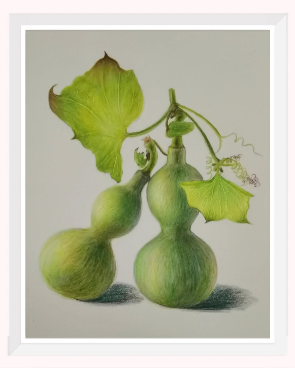 禄) 打卡第六十六幅,油性彩铅 蔬菜,水果系列(8) 素材来源于:绘画素材