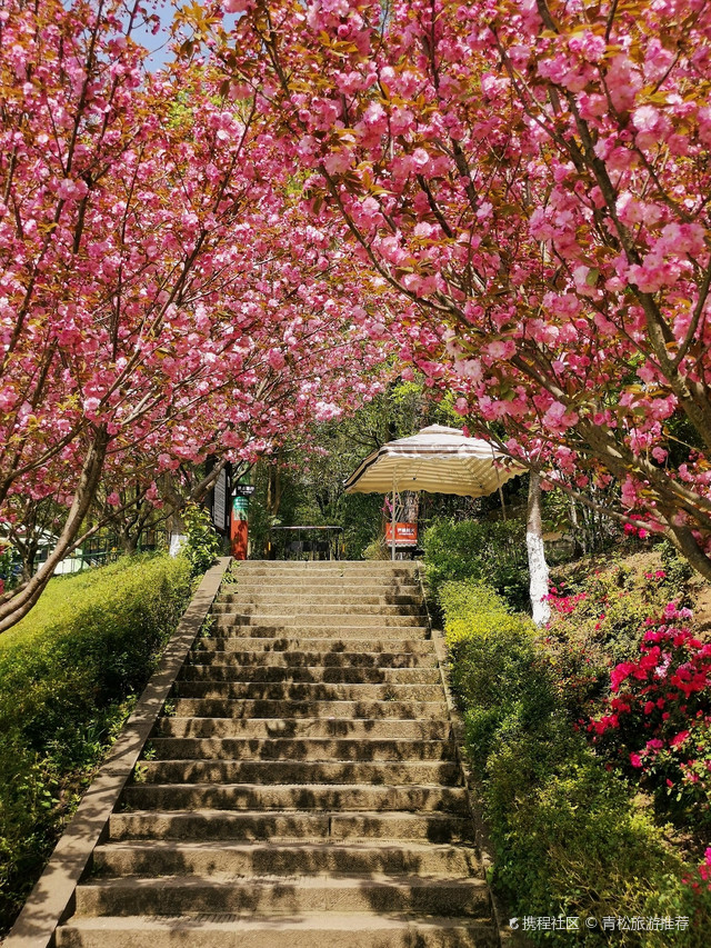 江油窦团山景区图片