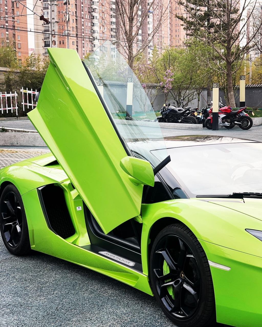 scc的车标～ 春意盎然,全办公室都爱上了#我与汽车的日常##兰博基尼