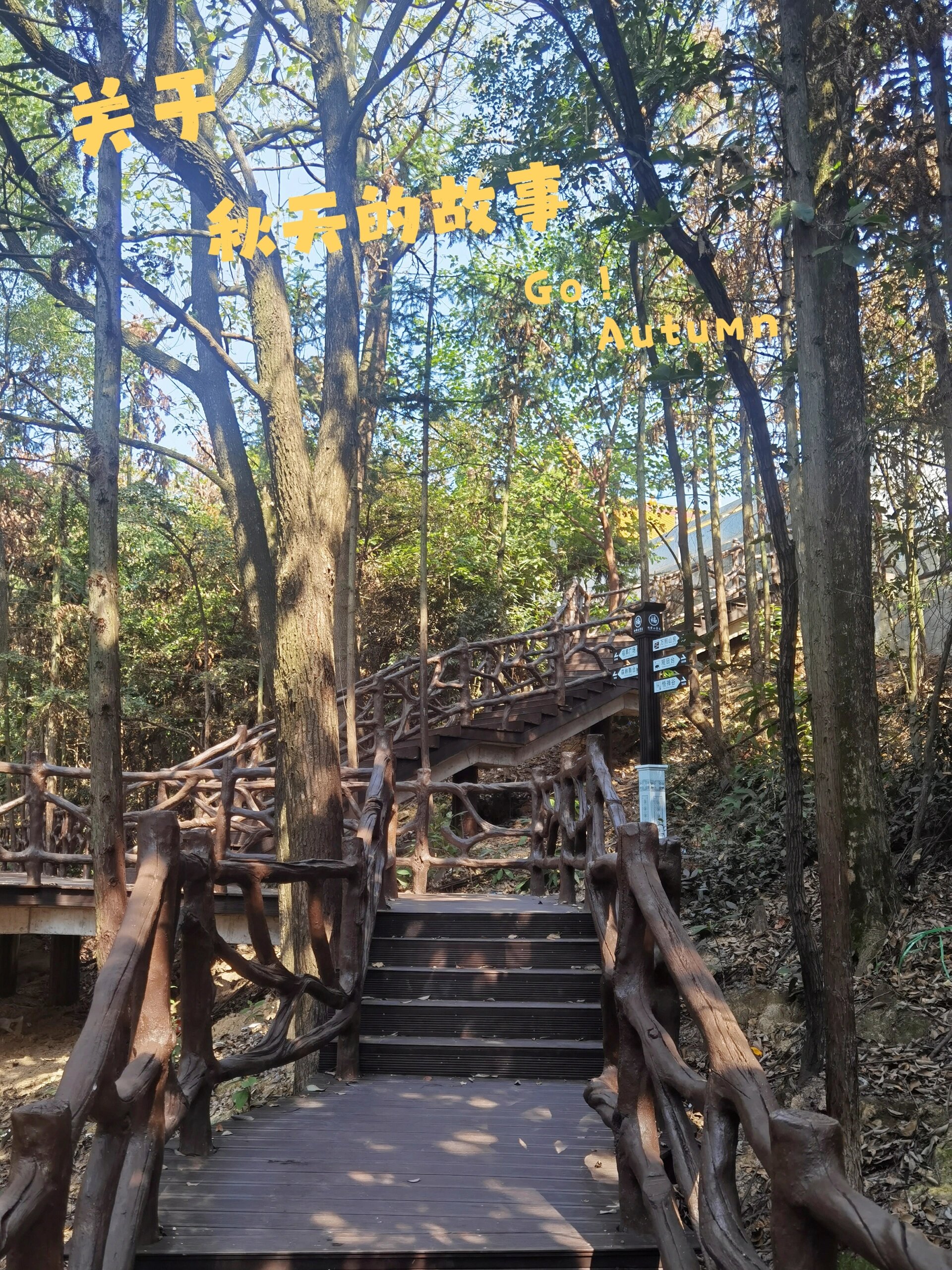 衡阳雨母山风景区图片