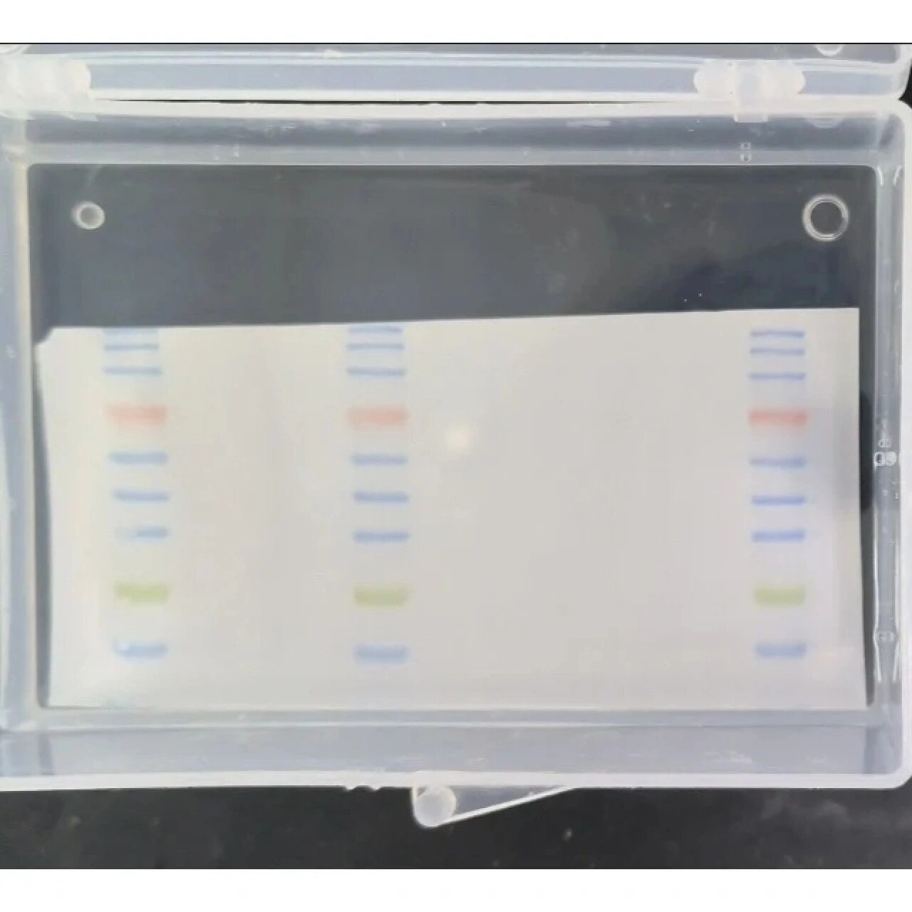 大五医学牲的一天之(western blotting2) 如何跑出平整的wb之?