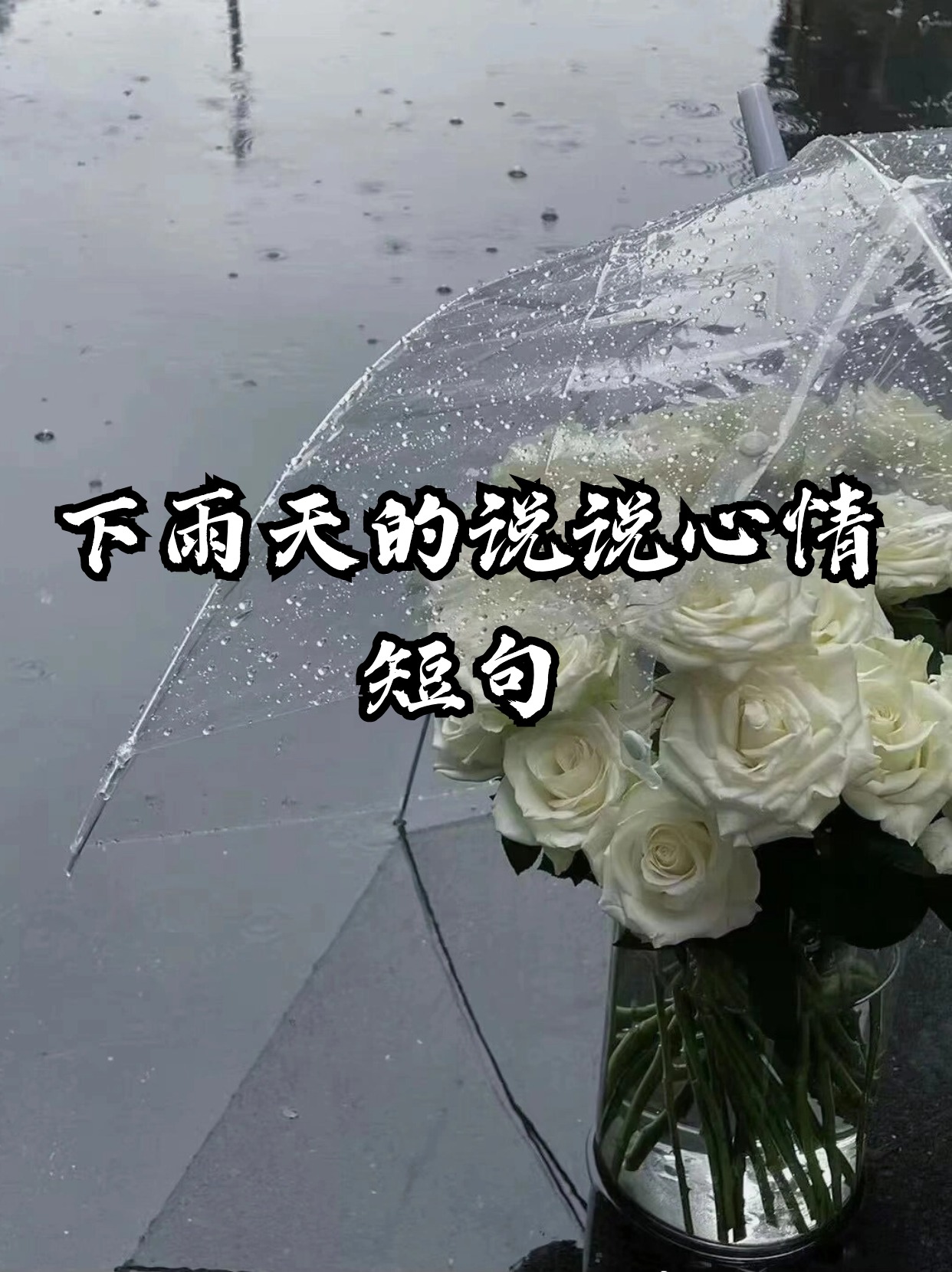 又是下雨天的早晨说说图片