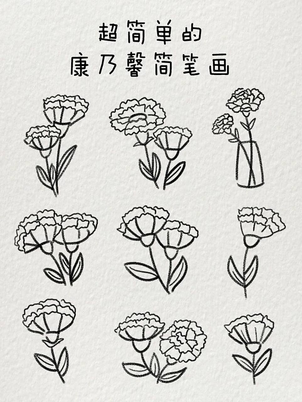 康乃馨简笔画|一起来画吧~ 即使不是母亲节,也可以买束康乃馨送给妈妈