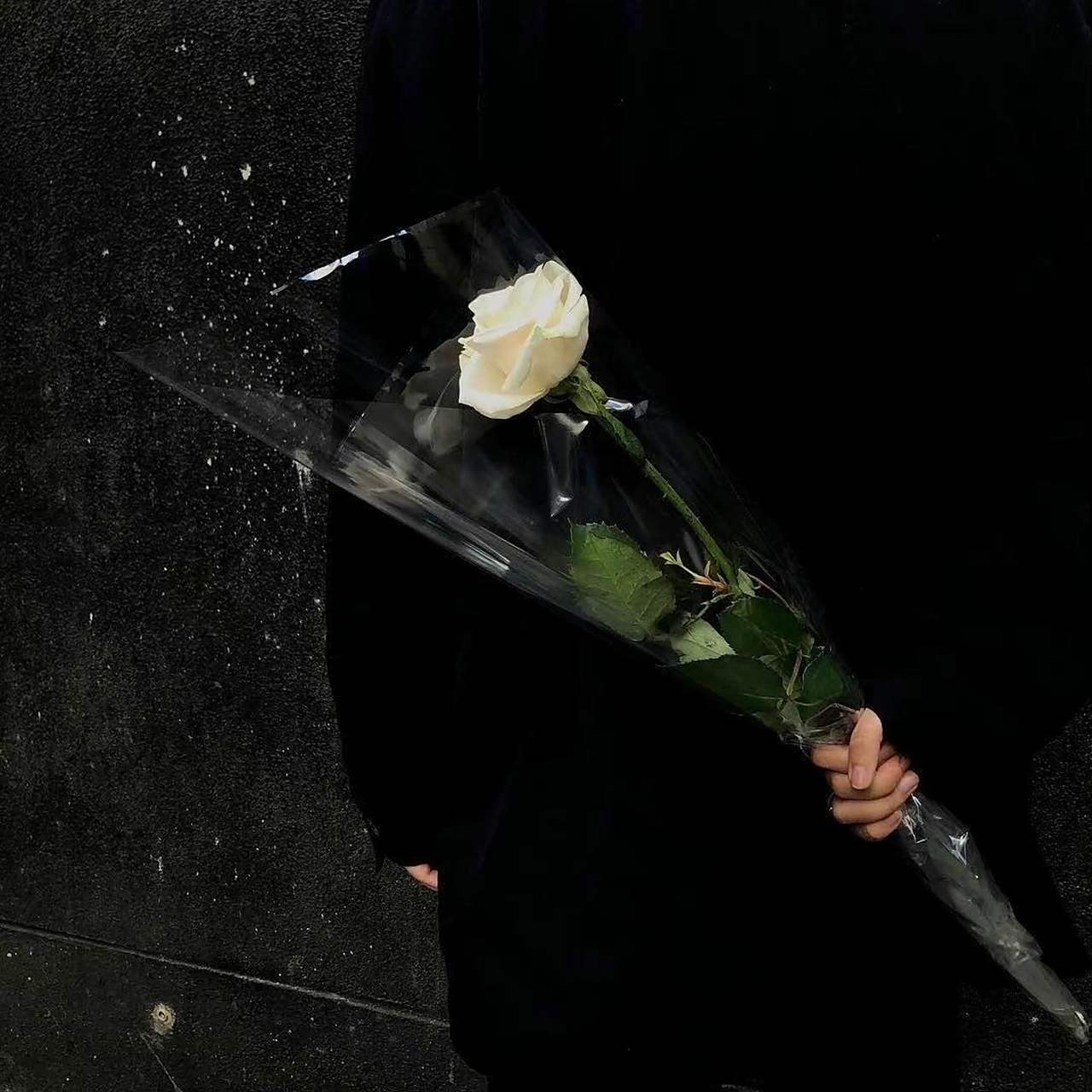 丧系朋友圈背景图(7)    7215 遗憾的是:"你在我最爱你的时候放弃