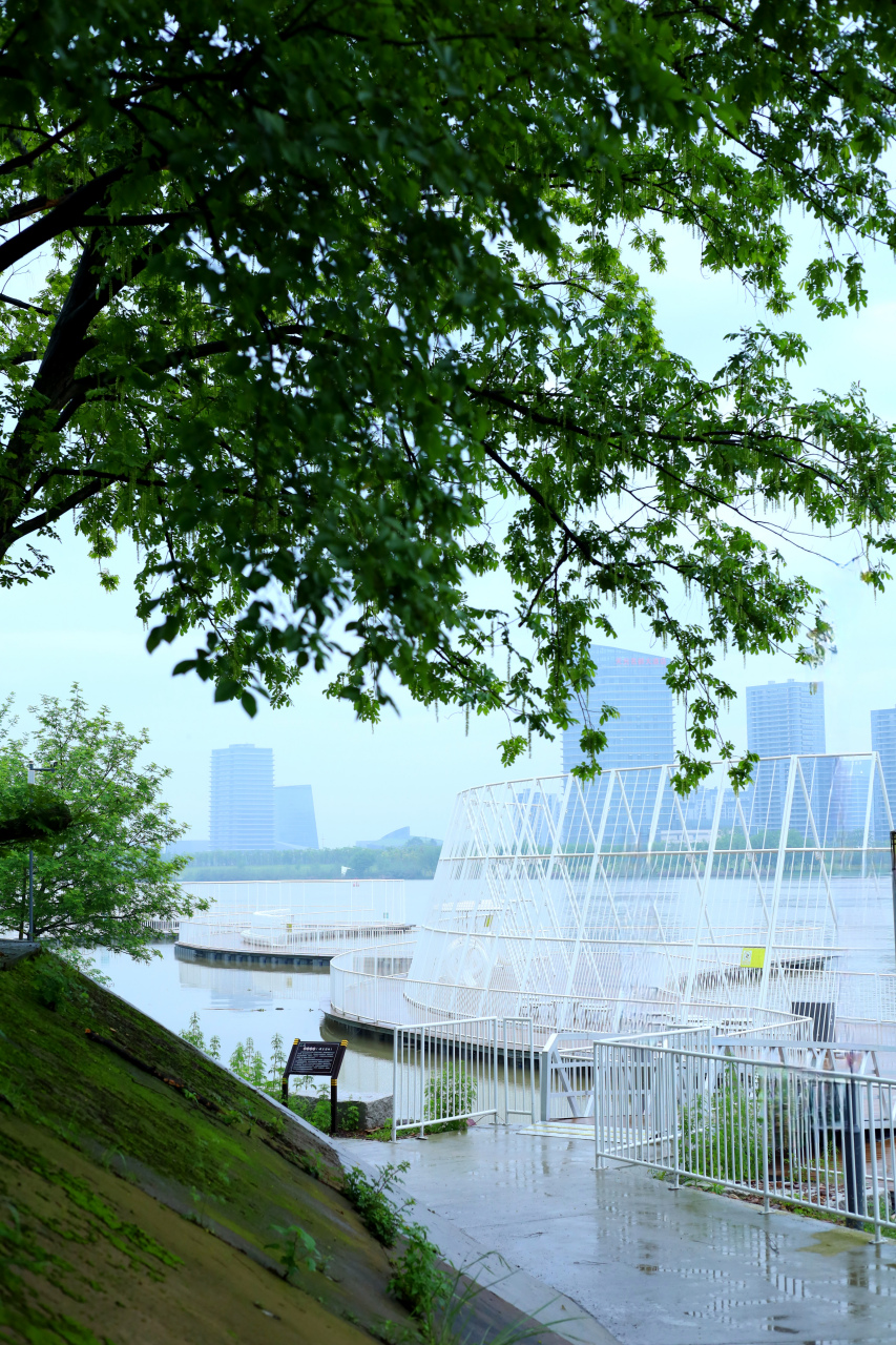 印象龙游瀫#浙西打卡好去处衢州龙游凤翔洲水文化公园