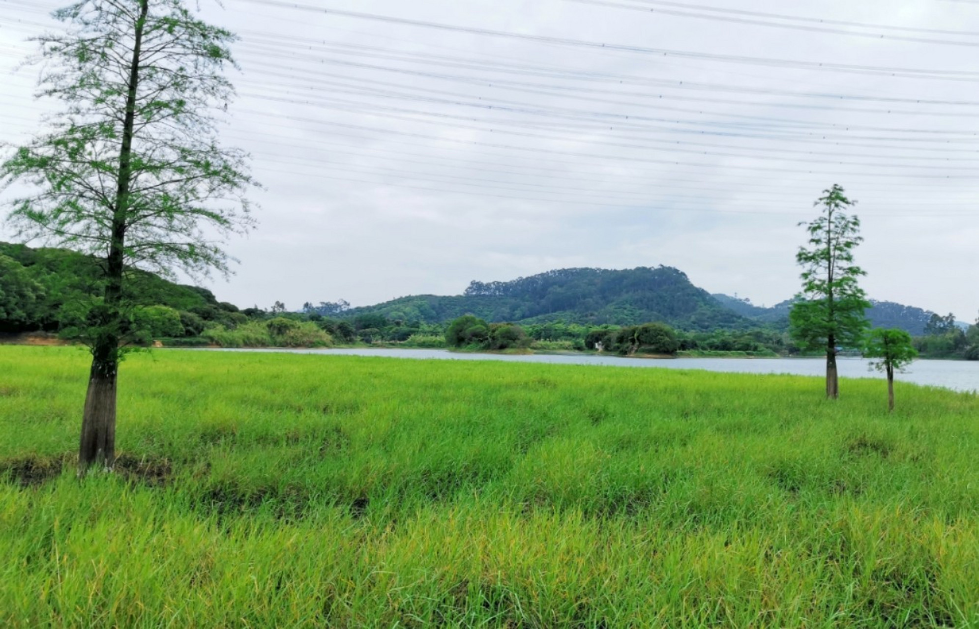记录四月:最美人间四月天之东莞黄牛埔水库 最美人间四月天,春意盎然