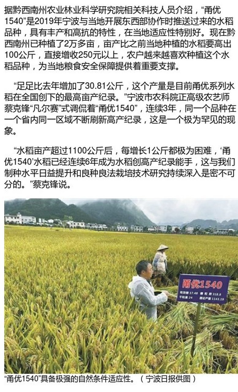 【"甬优1540"连续3年刷新 贵州省水稻最高亩产纪录】#宁波新闻#昨天