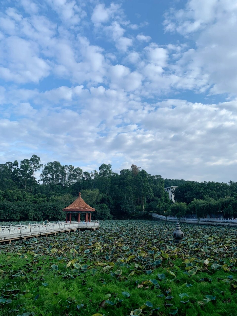 佛山南国桃园观音寺图片