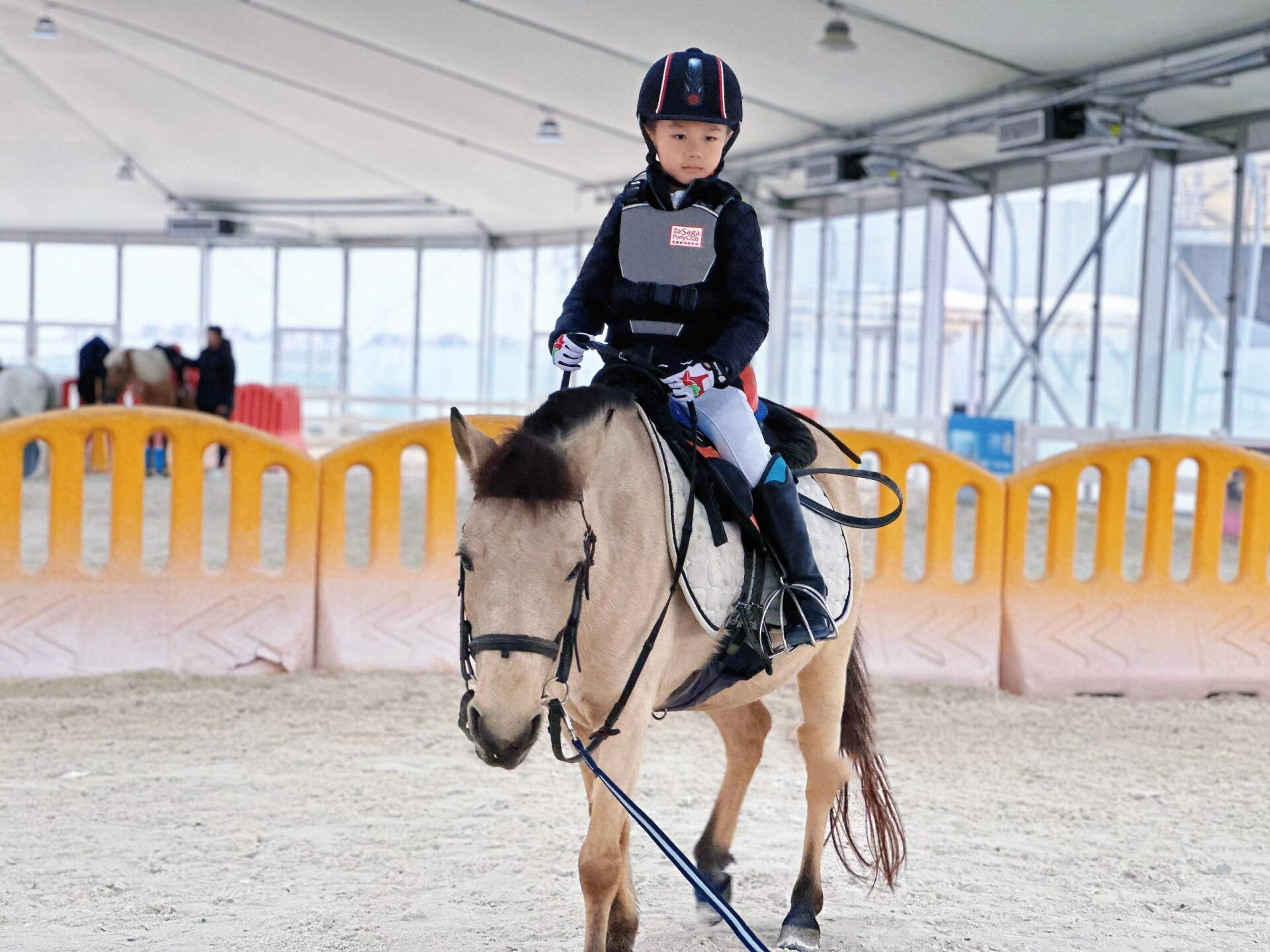 马术考级pony club含金量