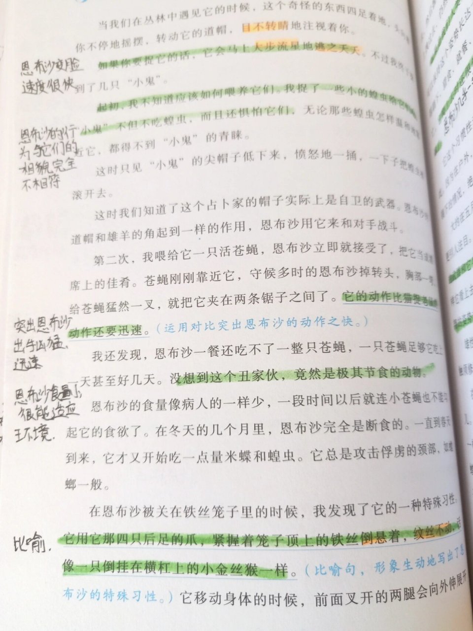 昆虫记第九章批注(上) 旧版昆虫记第九章批注 两种神奇的蚱蜢