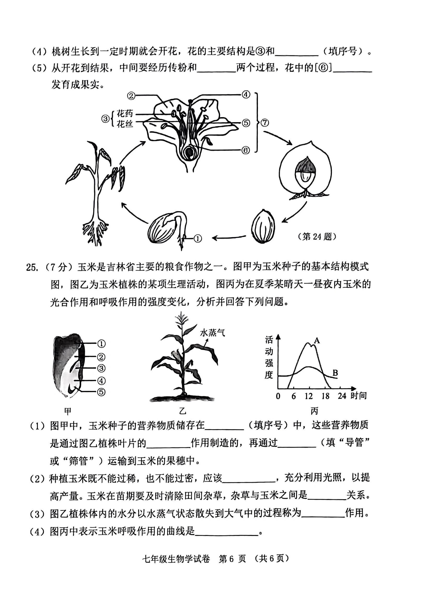 七年级生物图像(七年级生物图像怎么画)  第2张 七年级生物图像(七年级生物图像怎么画)  第2张