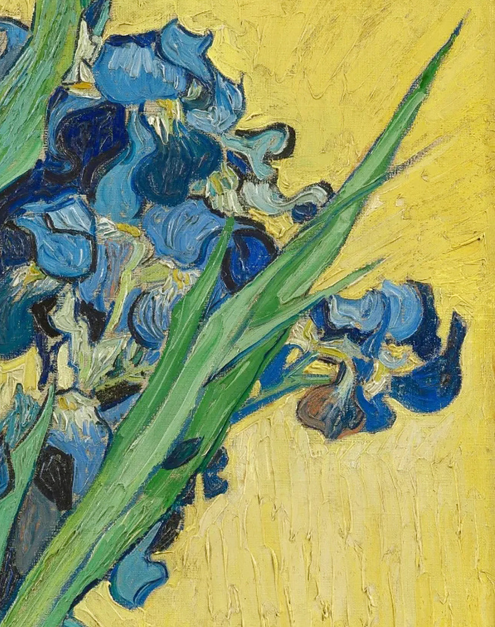9815 名画《鸢尾花》梵高 油画作品 irissen 1890荷兰画家99