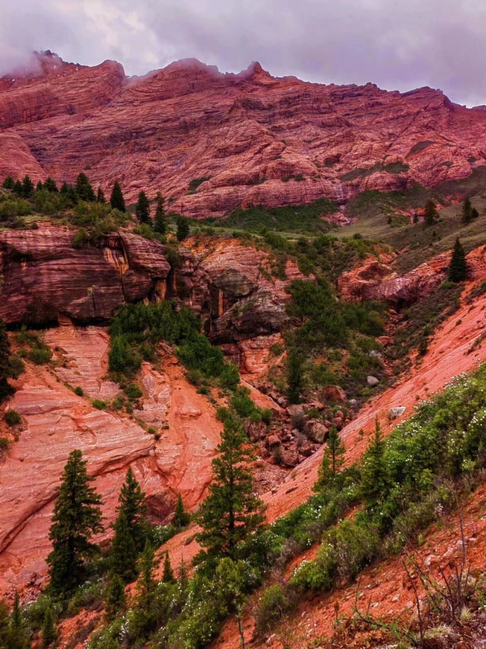 新龙红山的极致丹霞地貌    7月,新龙红山景区即将盛大开业.